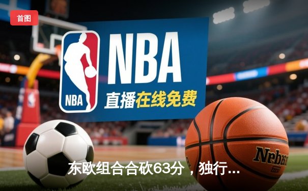 东欧组合合砍63分，独行侠主场力克雷霆扳平系列赛